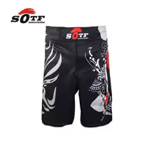 "Guan Yu Wind" Combat Shorts